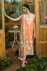 MUSHQ-3PC LAWN EMBROIDERED SHIRT WITH CHIFFON PRINT DUPATTA & TROUSER-NC-2630